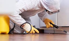 Real Estate Pest Inspections in Clintondale, NY